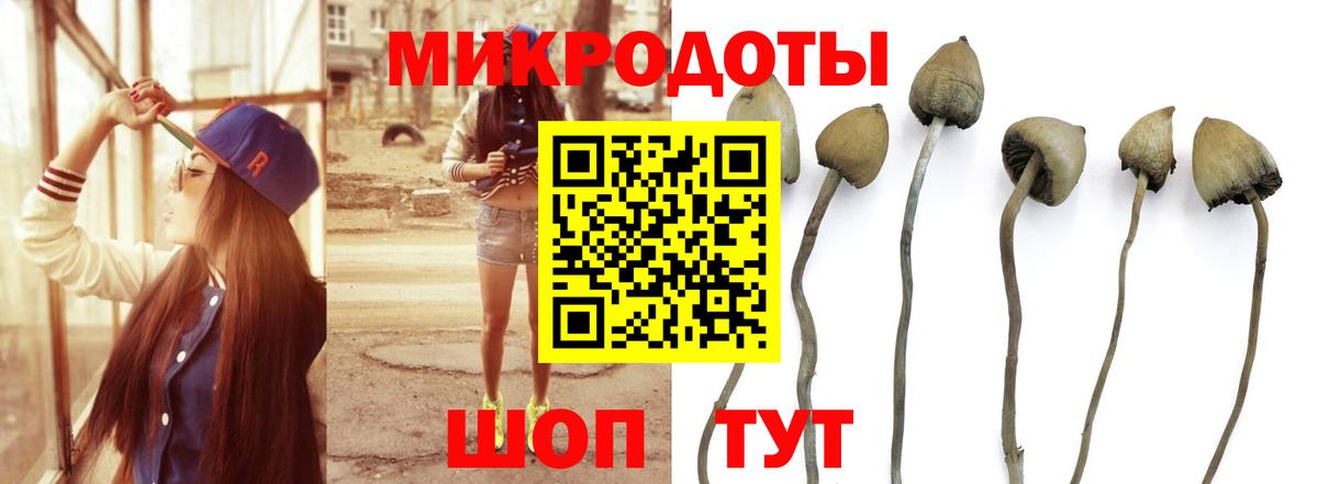 Всеволожск  купить   Вход с VPN  Галлюциногенные грибы ЛСД 