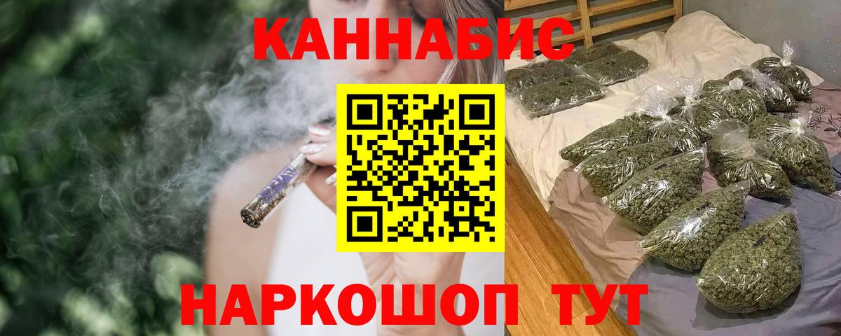 Каннабис сатива Всеволожск